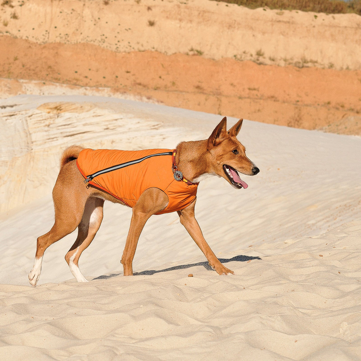 Dog Vest | Eco-Friendly Dog Jacket, Recycled Plastic Dog Jacket