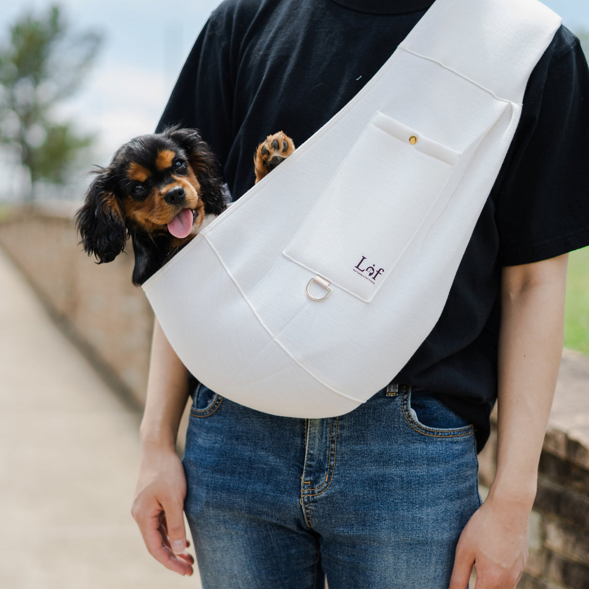 dog sling