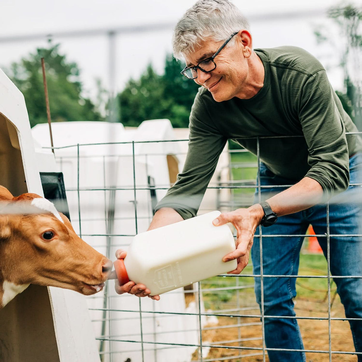 Men's Lightweight Crew 100% Merino Wool from Ticonderoga