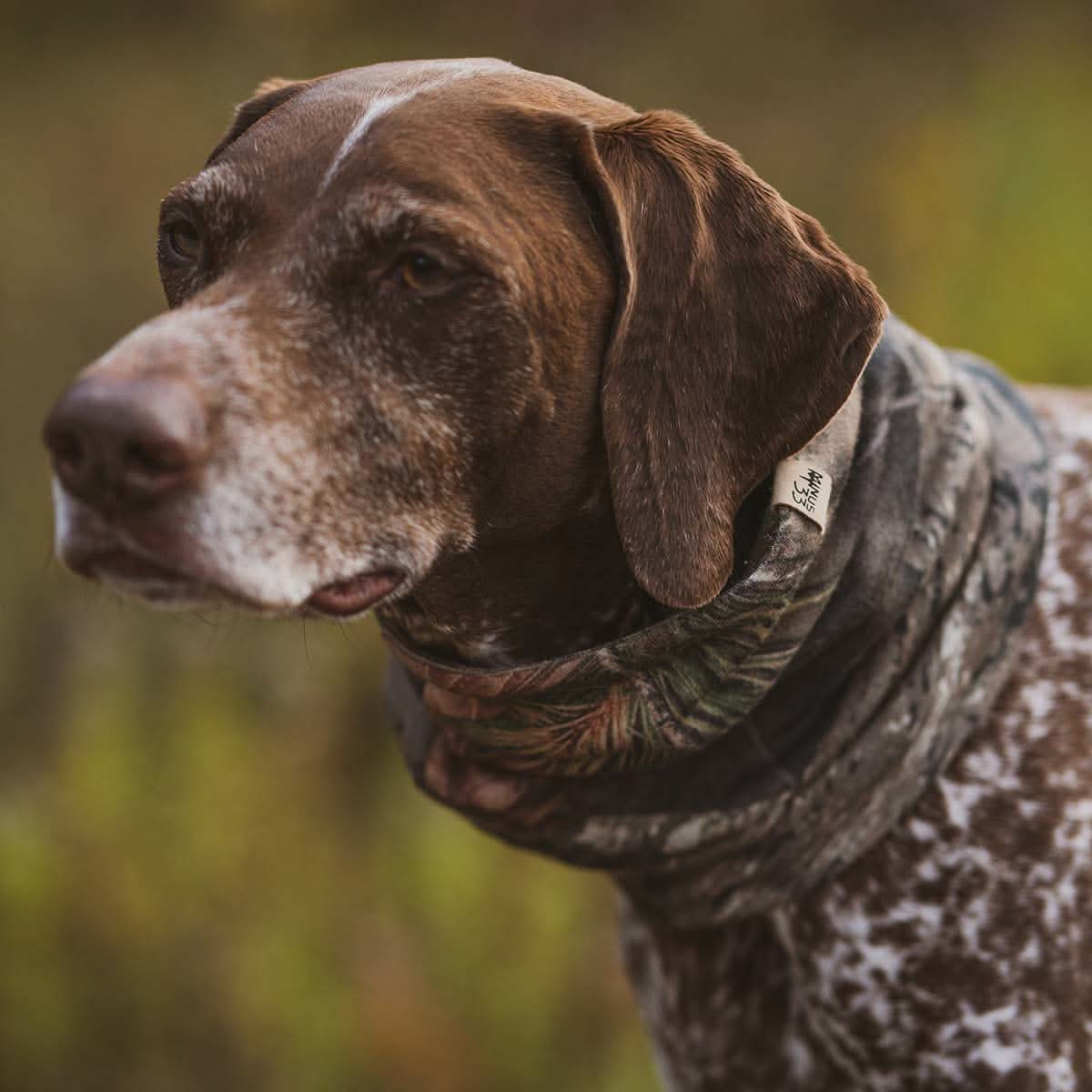 Unisex 100% Merino Wool Neck Gaiter