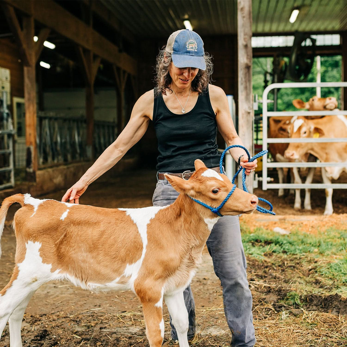 Lightweight Women's Tank Top, 100% Merino Wool, by Lafayette