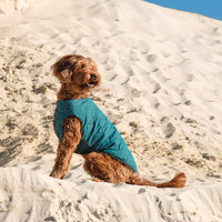 Dog Vest | Eco-Friendly Dog Jacket, Recycled Plastic Dog Jacket