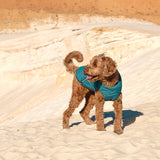 Dog Vest | Eco-Friendly Dog Jacket, Recycled Plastic Dog Jacket