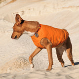 Dog Vest | Eco-Friendly Dog Jacket, Recycled Plastic Dog Jacket