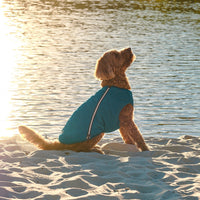 Dog Vest | Eco-Friendly Dog Jacket, Recycled Plastic Dog Jacket