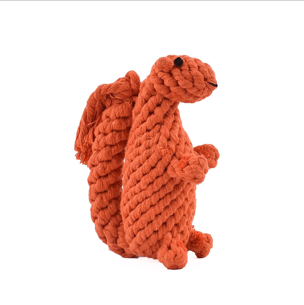 Squirrel Dog Toy