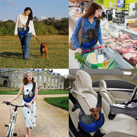 pet in a purse